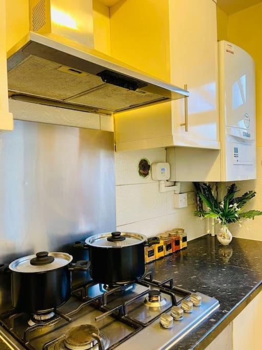 Beautiful 3bd Family With Huge Private Graden London