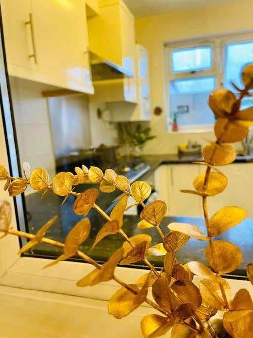 Beautiful 3bd Family With Huge Private Graden
